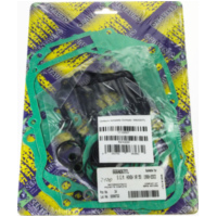 Zylinderdichtung, Motordichtsatz kompletter Dichtsatz / 666A067FL