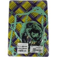 Zylinderdichtung, Motordichtsatz kompletter Dichtsatz / 666A300FL