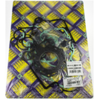 Zylinderdichtung, Motordichtsatz kompletter Dichtsatz / 731A257FL