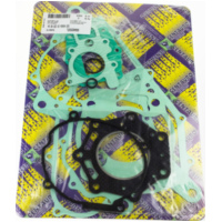 Zylinderdichtung, Motordichtsatz kompletter Dichtsatz / 990A450FL