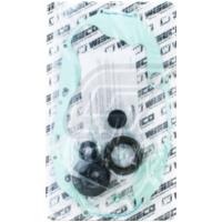 Dichtsatz Motorrumpf inklusive Motorsimmeringe WB1025