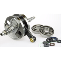 Geschmiedete Kurbelwelle WPC122 inklusive Rumpfdichtsatz und Kurbelwellenlager