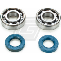 Kurbelwellenlager Satz SKF Metallk&auml;fig f&uuml;r Derbi EBE, EBS, D50B0