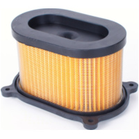Luftfilter Einsatz f&uuml;r Hyosung GT 125, 250, 650, Aquila 650