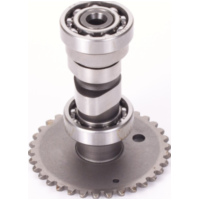 Nockenwelle f&uuml;r GY6 125/150ccm