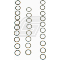 Control Scheiben Variomatik Speed-up-Kit 16mm f&uuml;r CPI