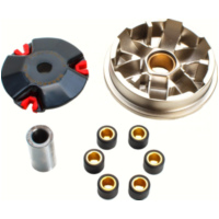 Variomatik Sport f&uuml;r Peugeot, Honda