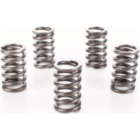 Kupplungsfedern CSK078 f&uuml;r Suzuki TL 1000 S &acute;97/&acute;98