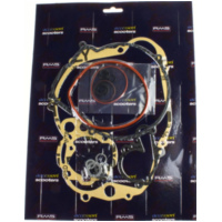 Dichtungssatz Dichtsatz komplett f&uuml;r 50ccm/Minarelli AM