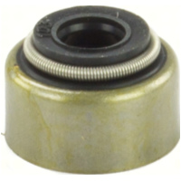 Dichtung Ventilschaftdichtungen 10 St&uuml;ck 198009