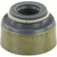 Dichtung Ventilschaftdichtungen 10 St&uuml;ck 198017