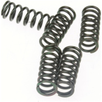 Kupplungsfedern 17.CS31021