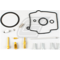 Vergaserreparatursatz f&uuml;r RM250 '00