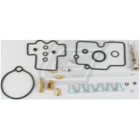 Vergaserreparatursatz f&uuml;r YZ250F '10-11