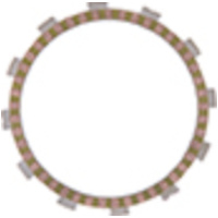 Kupplungslamelle f&uuml;r KX450 '19-20