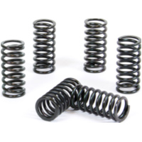 Kupplungsfedern Set f&uuml;r KX500 '87-04