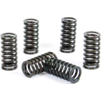 Kupplungsfedern Set f&uuml;r RM250 '98-05