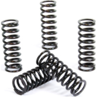 Kupplungsfedern Set f&uuml;r RM-Z250 '07-09