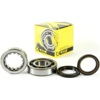 Kurbelwellenlager u. Dichtringset f&uuml;r CRF450X '05-17