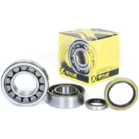 Kurbelwellenlager u. Dichtringset f&uuml;r KTM250/300SX-EXC '97-03