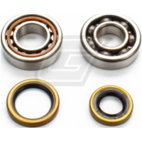 Kurbelwellenlager u. Dichtringset f&uuml;r KTM85/105SX '03-20