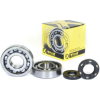 Kurbelwellenlager u. Dichtringset f&uuml;r KX250 '87-01