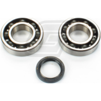 Kurbelwellenlager u. Dichtringset f&uuml;r KX250F '04-20
