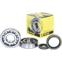 Kurbelwellenlager u. Dichtringset f&uuml;r RM250 '00-02