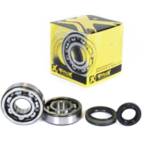 Kurbelwellenlager u. Dichtringset f&uuml;r RM80 '89-98