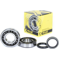 Kurbelwellenlager u. Dichtringset f&uuml;r RM-Z250 10-20