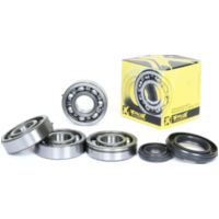 Kurbelwellenlager u. Dichtringset f&uuml;r YFZ350 Banshee '87-06