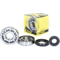 Kurbelwellenlager u. Dichtringset f&uuml;r YZ250 '99-00