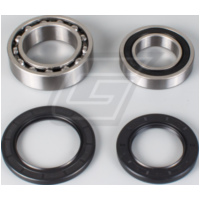 Radlager Set f&uuml;r TRX350TE/TM '00-06