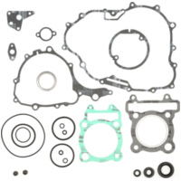Motordichtsatz f&uuml;r Yamaha YFM250R Raptor '08-13