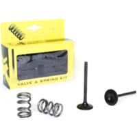 Stahlauslassventil u. Federn Set f&uuml;r LT-R450 '06-11