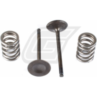 Stahlauslassventil u. Federn Set f&uuml;r RM-Z450 '08-20 + RMX450Z