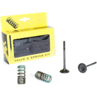 Stahlauslassventil u. Federn Set f&uuml;r YZ/WR250F '01-13