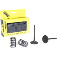 Stahleinlassventil u. Federn Set f&uuml;r RM-Z450 '08-20 + RMX450Z