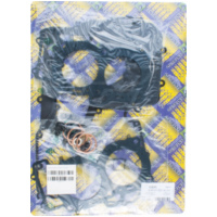 Motordichtsatz 411A014FL