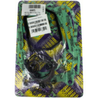 Zylinderdichtung, Motordichtungen Motordichtsatz / 666A087FL