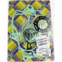 Zylinderdichtung, Motordichtungen Motordichtsatz 666A111FL