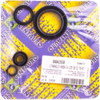 Motorsimmeringe Motorwellendichtringsatz 666A135SR