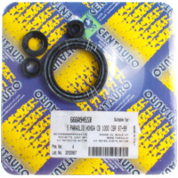 Motorwellendichtringsatz 666A945SR