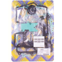 Zylinderdichtung, Motordichtungen Motordichtsatz 666A996FL