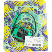 Zylinderdichtung, Motordichtungen Motordichtsatz 731A139FL