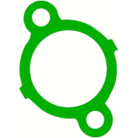 Steuerkettenspannerdichtung 849966