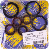 Motorwellendichtringsatz 880A203SR