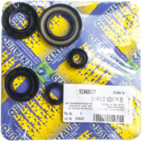 Motorwellendichtringsatz 933A001SR