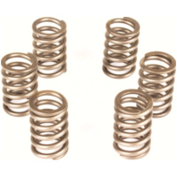Kupplungsfedernsatz Premium Kupplungsfedern-Kit f&uuml;r: KTM CSK064