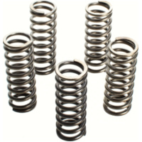 Premium Kupplungsfedern-Kit CSK112